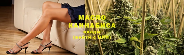 прущая мука Вяземский